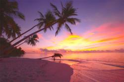 Sunset on the beach at Filitheyo Island Resort in the Maldives